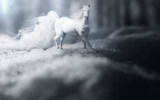 Картинка dream, snow, horse