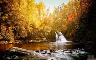 Картинка Aaron Woodall, река, солнце, лес, красота, умиротворение, водопад, photographer