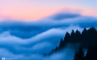 Обои Kenji Yamamura, туман, photographer, деревья, облака