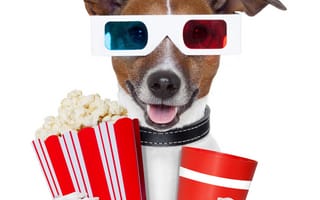 Картинка собака, попкорн, очки, напиток, 3d очки