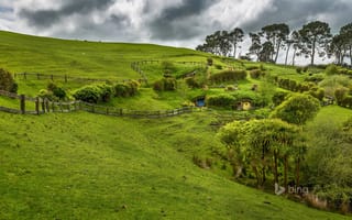Картинка Матамат, Новая Зеландия, склон, трава, Северный остров, деревья, забор