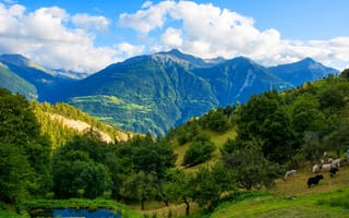 Картинка Швейцария, лес, облака, небо, Feschel, горы