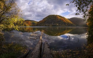 Картинка дерево, горы, осень, ветви, листья, озеро, отражение, деревья, зеркало