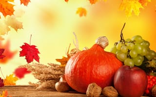 Картинка autumn, листья, тыква, pumpkin, виноград, урожай, harvest, fruits, осень, still life
