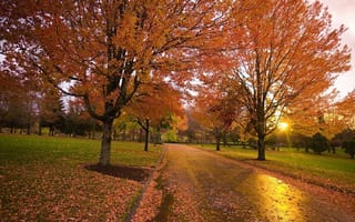 Картинка Природа, дорога, парк, аллея, осень, закат