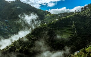 Картинка Индия, горы, плантации, лес, облака, Mussoorie