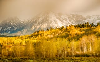 Обои Grand Teton National Park, Вайоминг, осень, США, деревья, горы, трава, снег