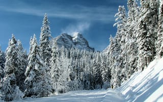 Картинка зима, гора, лес, деревья, снег