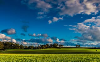 Картинка поле, фермы, небо, облака, трава, деревья