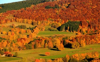 Картинка горы, деревья, склон, осень, лес