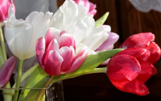 Картинка Тюльпаны, Крупным планом, Цветы