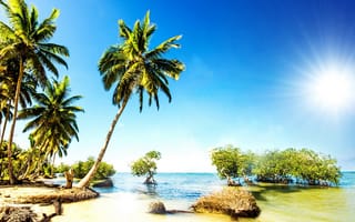 Картинка tropical, sunshine, пляж, sea, пальмы, ocean, море, palms, summer, песок, берег, beach, тропики, paradise, vacation
