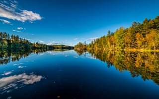 Картинка Sætre, отражение, озеро, Норвегия, Бускеруд, Hurum, осень, Хурум, лес, Buskerud, Norway