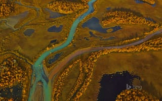 Картинка Sarek National Park, река, панорама, Швеция, деревья, осень, краски
