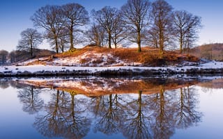 Картинка Природа, зима, река, деревья, отражение, берег, снег