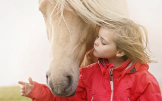 Картинка девочка, настроение, конь