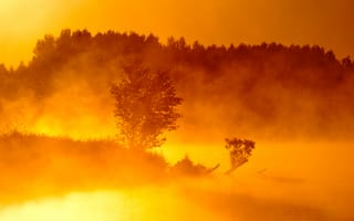 Картинка рассвет, туман, деревья, река