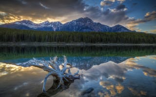 Обои Patricia Lake Sunset, Canada, Jasper National Park, Alberta