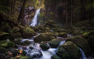 Картинка лес, камни, природа, река, деревья, водопад