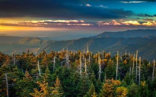 Картинка Кентукки, горы, облака, США, деревья, лес, зарево