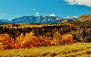 Картинка Banff National Park, Альберта, Канада, трава, осень, деревья, горы