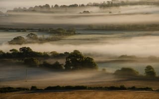 Картинка поле, холмы, деревья, туман, утро