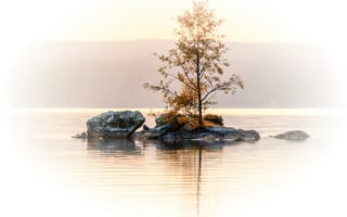 Картинка озеро, остров, осень, дерево, камни