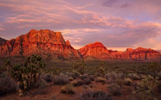Картинка Red Rock Canyon, США, Невада, горы, Лас-Вегас, National Conservation Area, пустыня, зарево, скалы