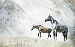 Картинка кони, стиль, природа