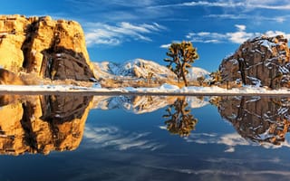 Картинка joshua tree national park, снег, пейзажи, дерево, америка, природа, зима, камень, камни, деревья, вода