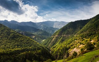 Картинка грузия, пейзаж, горы, деревья, забор, лес, дмитрий чистопрудов, природа