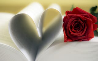 Картинка red, страницы, роза, сердце, love, flower, romantic, книга, rose