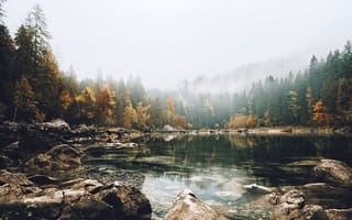 Обои озеро, туман, осень