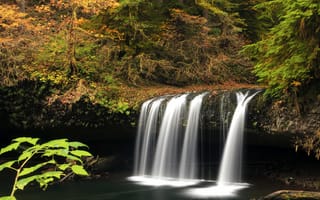 Картинка США, водопад, осень, Upper Butte Creek Falls, лес, Oregon