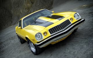 Обои chevrolet, классика, muscle car, camaro, желтый, шевроле, мускул кар, камаро, 1974, передок