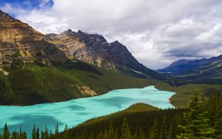 Картинка Peyto Lake, озеро, деревья, лес, горы, Alberta, Canada, Banff, панорама