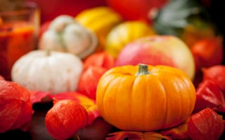 Картинка autumn, pumpkin, harvest, тыква, натюрморт, урожай, овощи, still life, vegetables, осень
