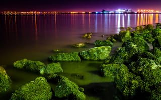 Картинка ночь, залив, водоросли, город, камни, огни, порт