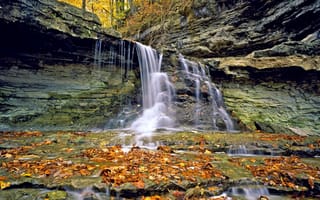 Обои водопад, листья, осень