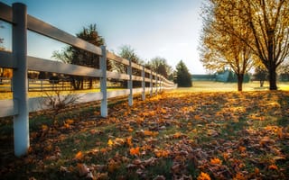 Картинка забор, листья, осень