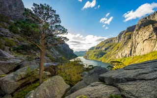 Картинка горы, скалы, дерево, пейзаж, озеро, фьорд