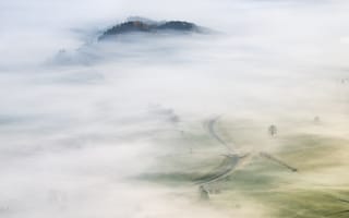 Картинка поле, туман, дорога