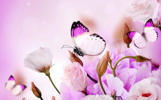 Картинка purple, цветы, бабочки, butterflies, flowers