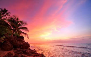 Картинка Rincón, beach, sunset, Puerto Rico, palm, ocean