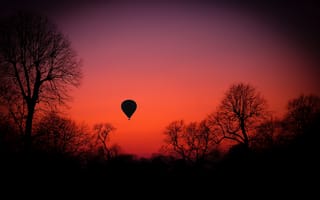Картинка небо, закат, зарево, силуэт, деревья, воздушный шар