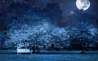 Картинка скамейка, природа, звезды, деревья, лавочка, луна, ночь