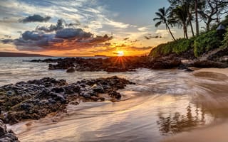Картинка пляж, закат, океан, природа, пальмы