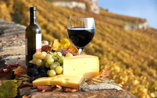 Картинка вино, осень, виноград, бокал, бутылка, сыр, красное, виноградники