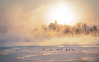 Картинка утро, туман, утки, зима, река