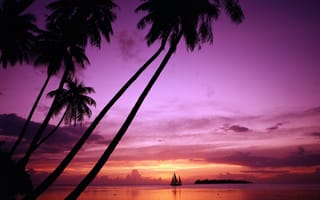 Картинка Тихий океан, Tahiti, закат, путешествие, travel, остров, Таити, sailing in paradise, French Polynesia, природа, отдых